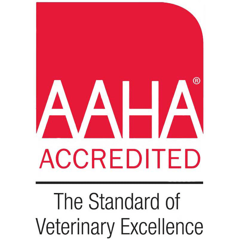 Large-AAHA-for-Article